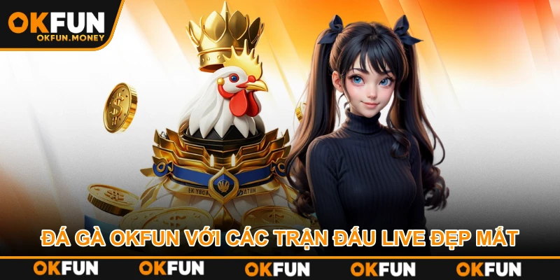 Đá gà OKFUN với các trận đấu live đẹp mắt
